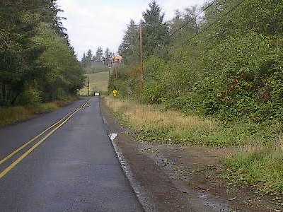 This is a photograph of well maintained road right-of-way vegetation.